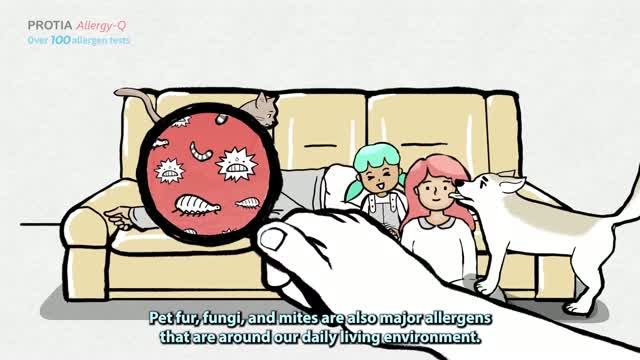 PROTIA Allergy-Q - знакомство с продукцией